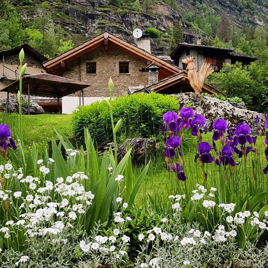 B&B Lo Djoua De Toueno Arvier Luaran gambar